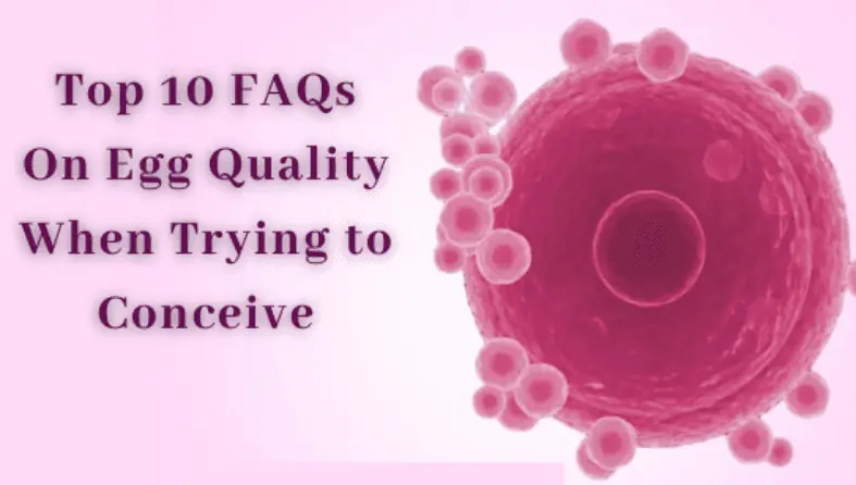 Top 10 FAQs On Egg Quality When Trying to Conceive