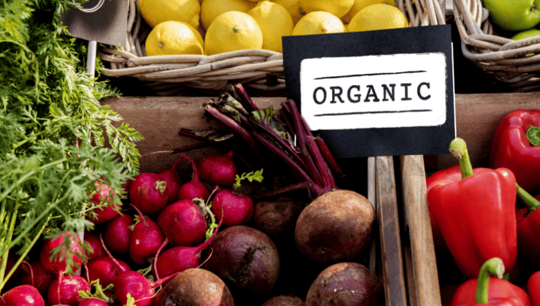 Why Preferring Organic Food Will Do More Good For Your Fertility