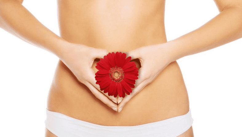 Menstruation and Fertility: An Inseparable Relation