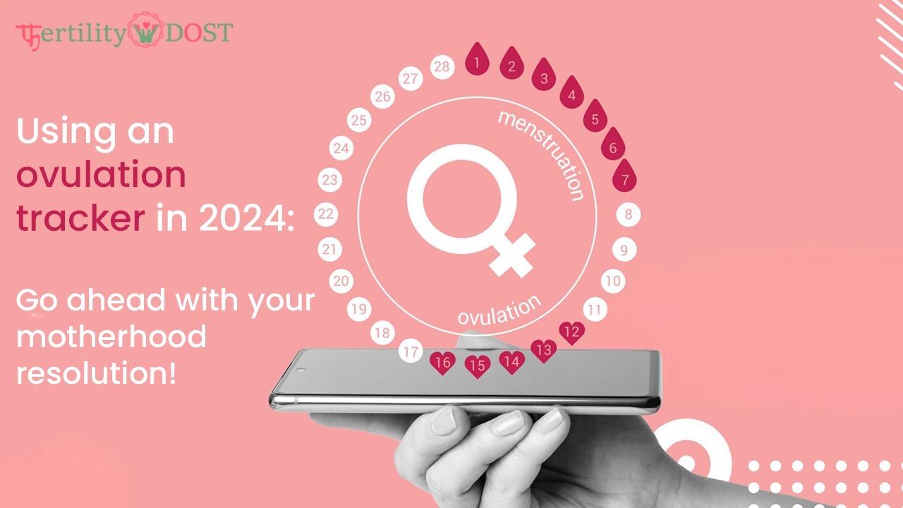 Using an Ovulation Tracker in 2025: Achieve Your Motherhood Goals!